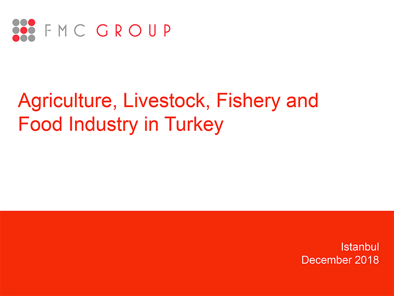 cover for Turkey Agriculture-Industry report