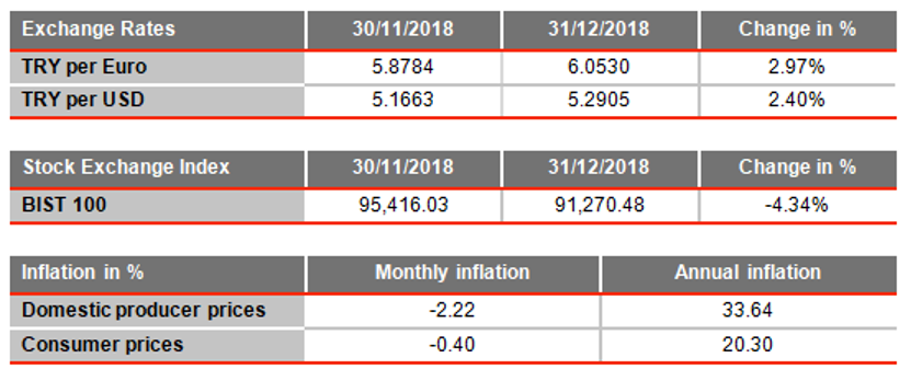 turkey economy january 2019 1